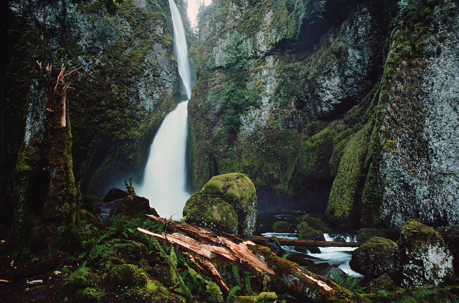 Waterfall In Lush Canyon Photograph by Danielle D. Hughson