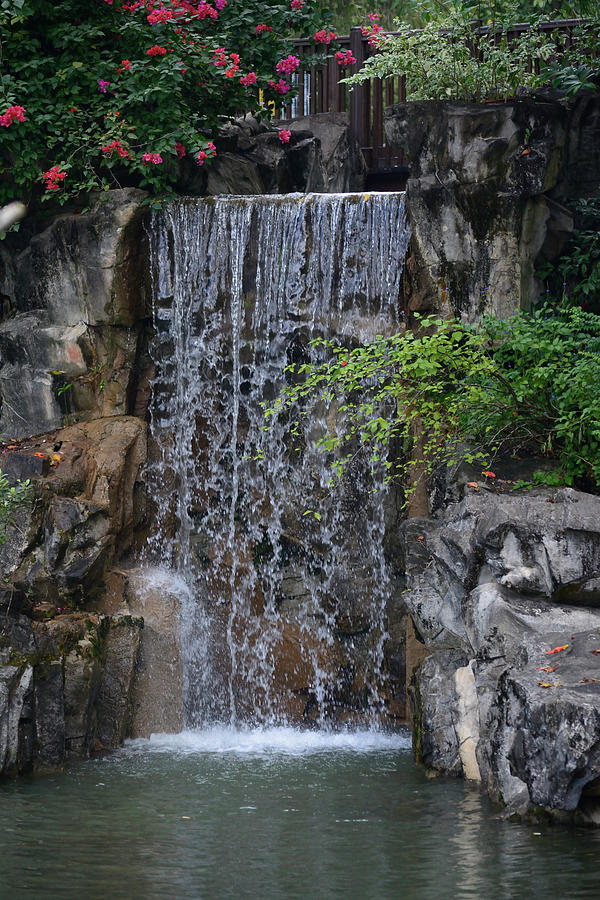 Waterfall In Shing Mun Valley Park Photograph by Patrick Nowotny