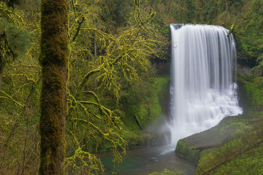 Waterfall In The Forest Photograph by Jeff Foott