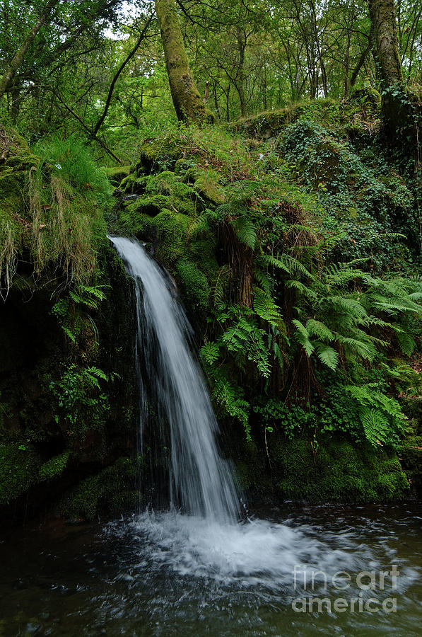 River Photograph - Waterfall In The Middle Of Carvalhais Forest by Angelo DeVal River Photograph - Waterfall In The Middle Of Carvalhais Forest by Angelo DeVal