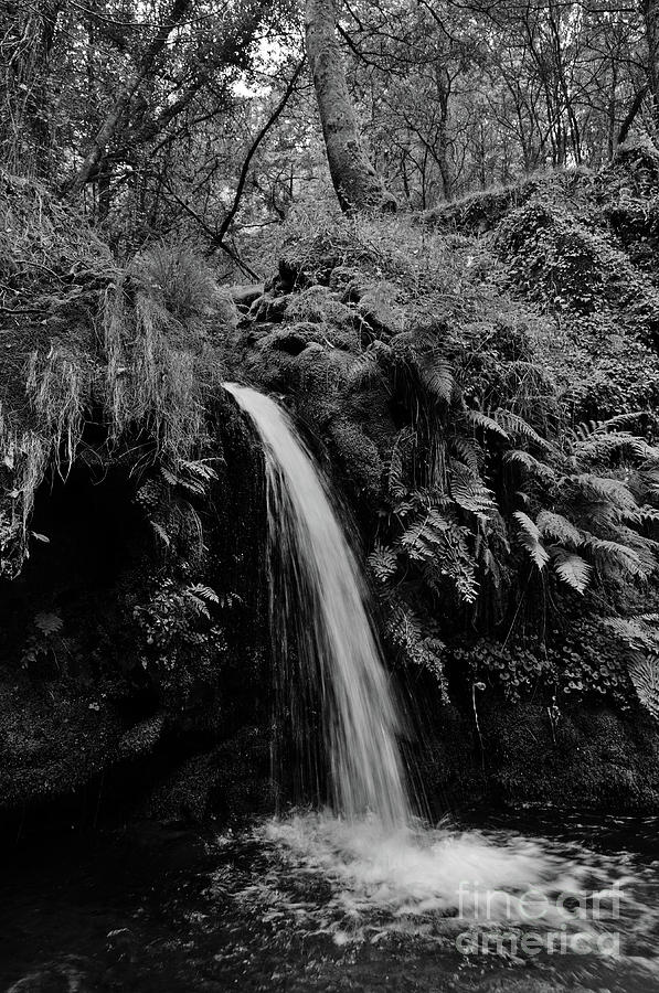 River Photograph - Waterfall In The Middle Of Carvalhais Forest. Monochrome by Angelo DeVal River Photograph - Waterfall In The Middle Of Carvalhais Forest. Monochrome by Angelo DeVal