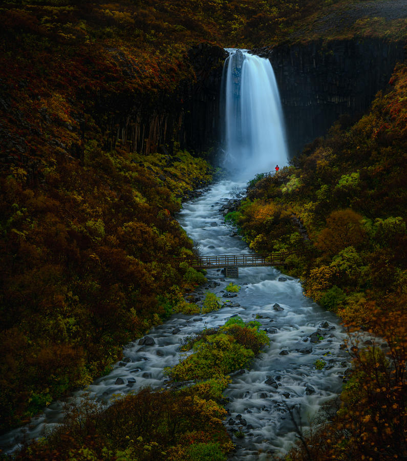 Waterfall Photograph - Waterfall In The Morning by Bing Li