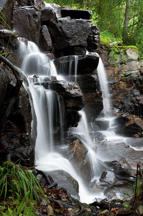 Waterfall In The Woodlands Photograph by Martin Wahlborg