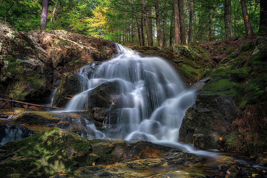 Fall Photograph - Waterfall in the Woods by Rick Berk