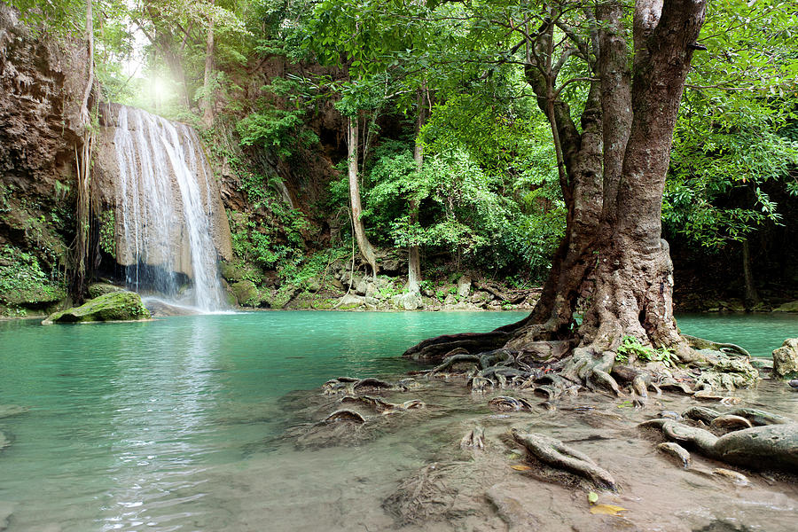 Waterfall In Tropical Rainforest Photograph by Pidjoe