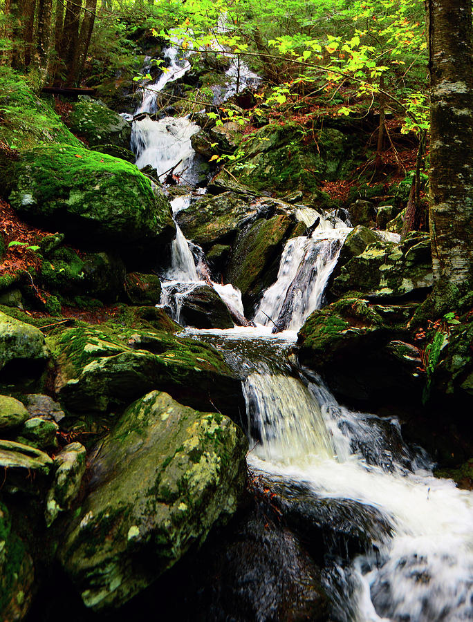 Waterfall Into Sages Ravine Photograph by Raymond Salani III