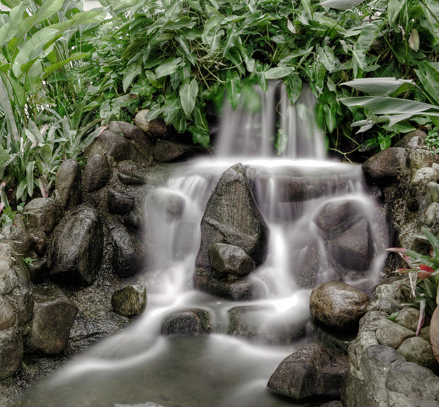 Waterfall Photograph by Joao Inacio