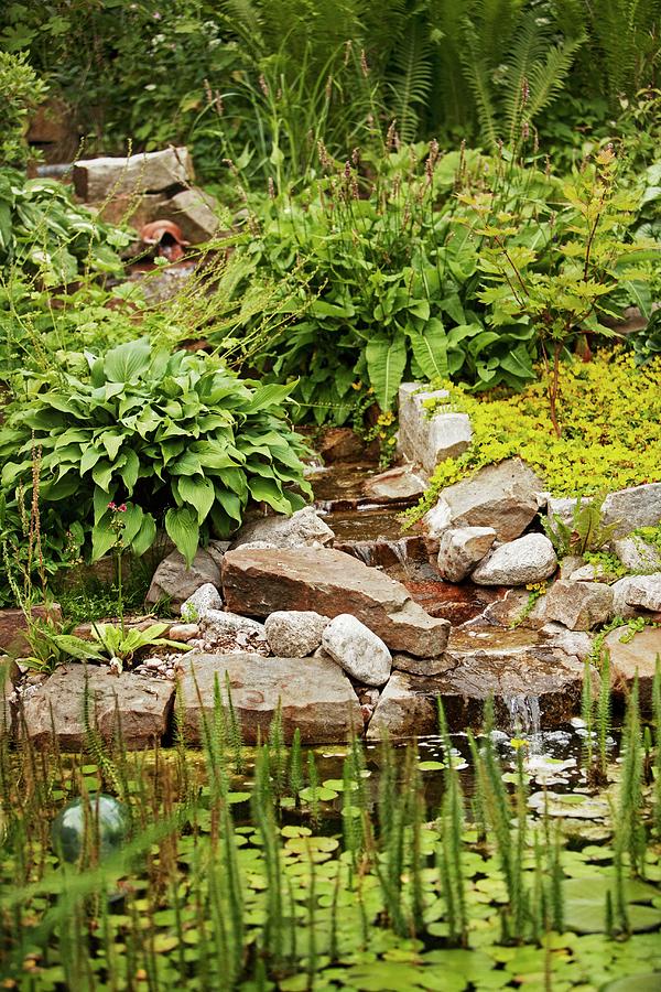 Waterfall Lined With Rocks Falling Into Pond With Aquatic Plants ...