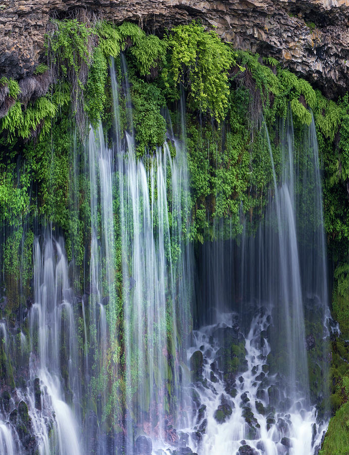 Waterfall, Mcarthur-burney Falls Memorial State Park, California Photograph by Tim Fitzharris
