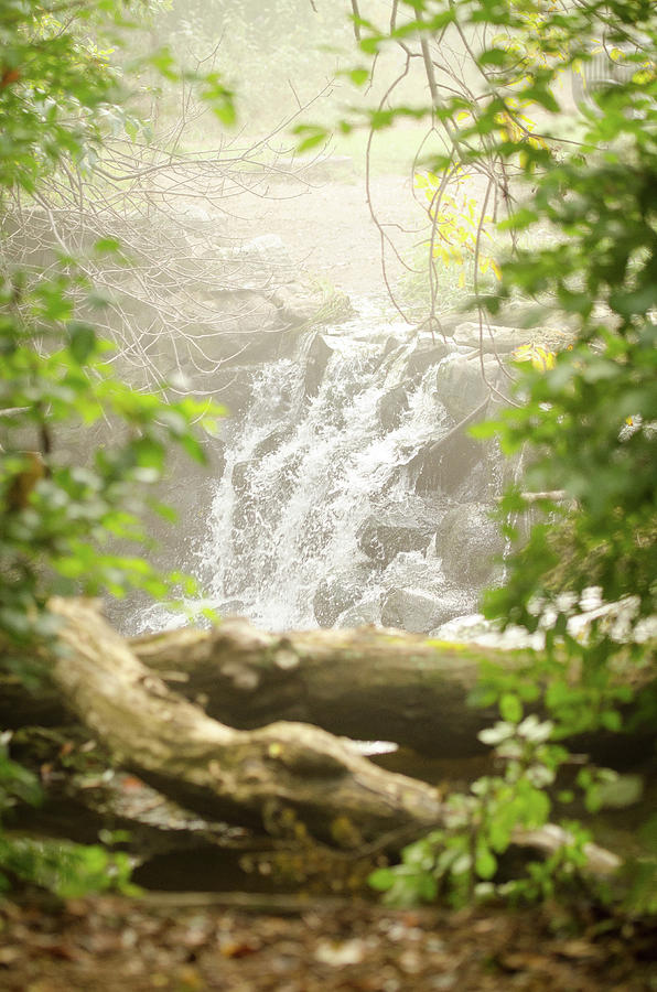 Waterfall by Nikki Watson McInnes Waterfall by Nikki Watson McInnes