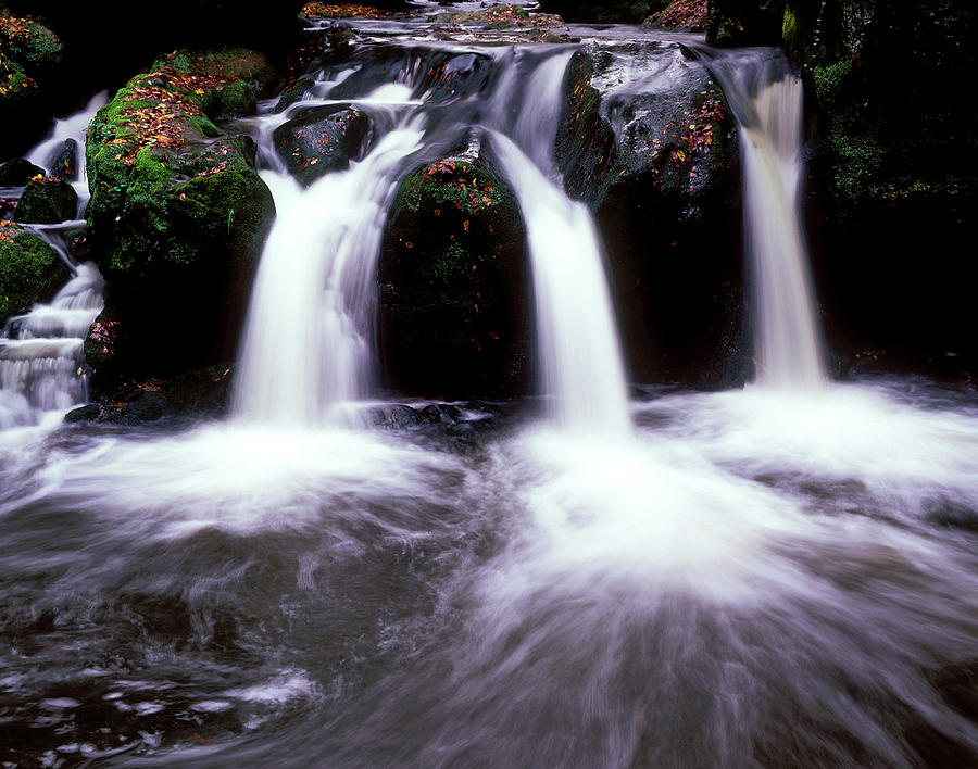 Waterfall Of A Forest Brook Photograph by Hans-peter Merten