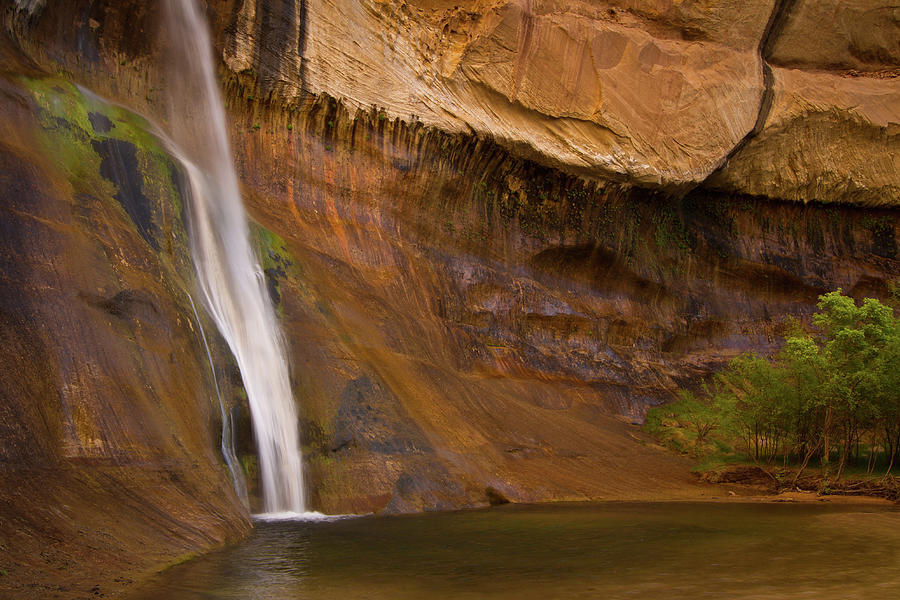 Waterfall Of Calf Creek Falls Photograph by Alice Cahill
