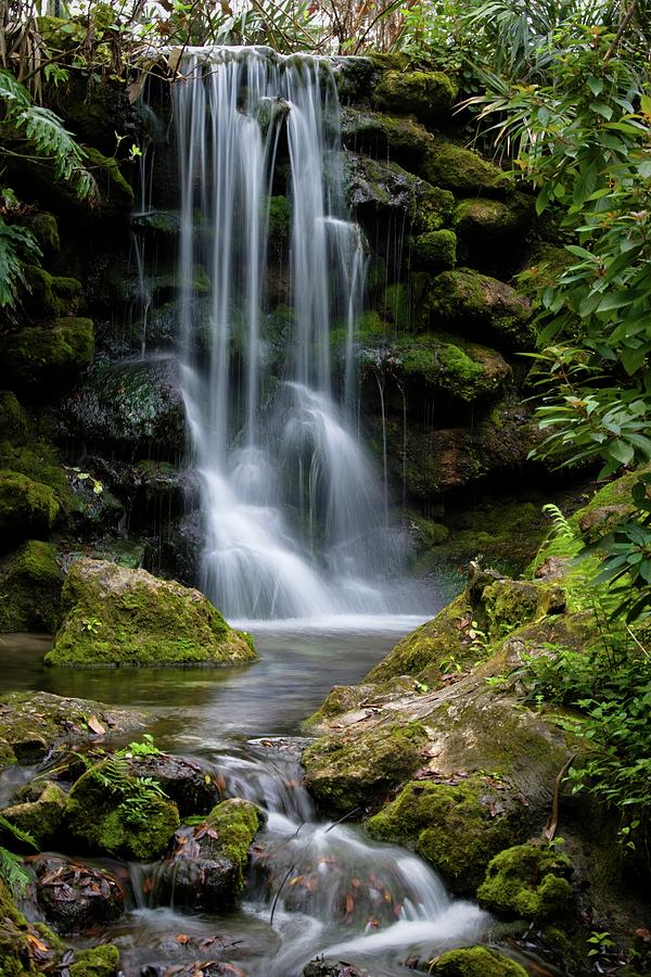 Waterfall of Dreams Photograph by T Lynn Dodsworth