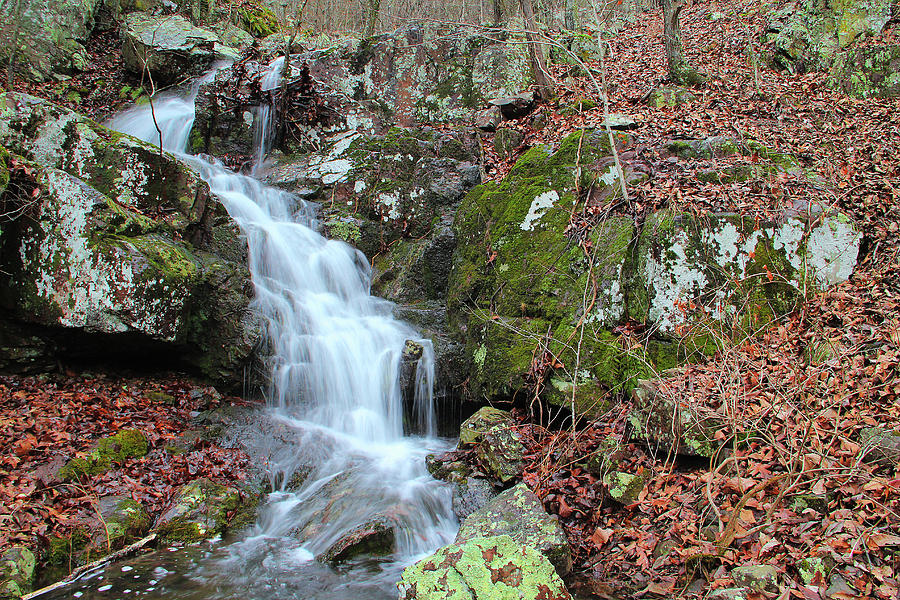 Waterfall on Black Mountain 5 Photograph by Greg Matchick - Fine Art ...