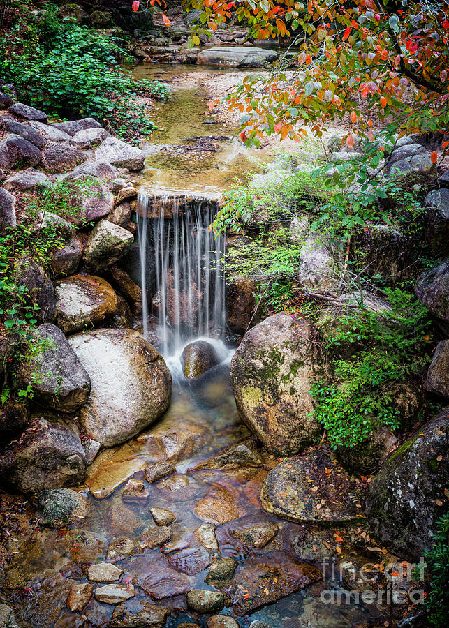 Waterfall on Miyajima Island Photograph by Karen Jorstad