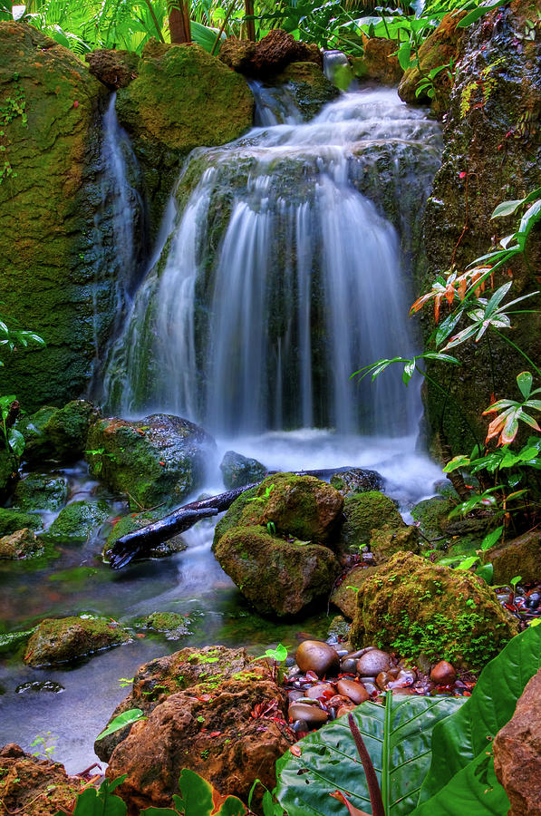 Nature Photograph - Waterfall by Patti Sullivan Schmidt