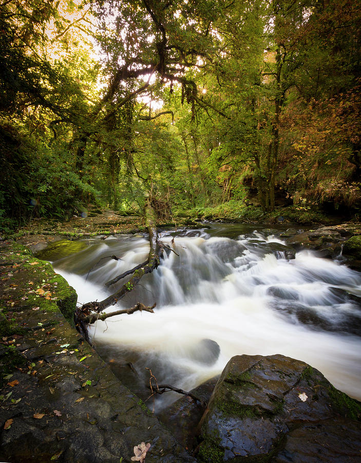 Waterfall Power Photograph by Mark Callanan