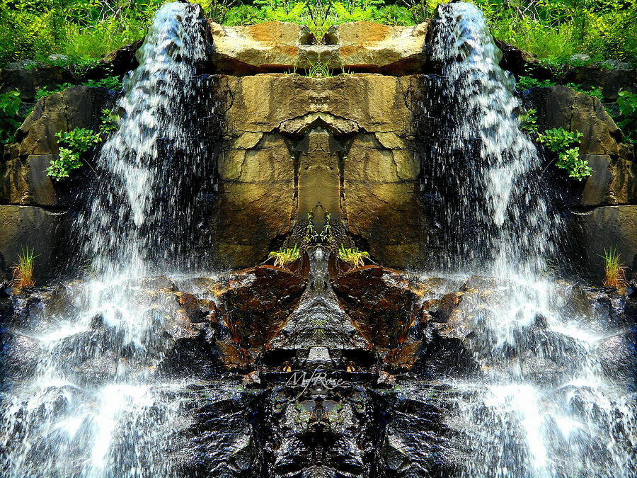 Waterfall Reflection - Maureen Rose Photograph by Maureen Rose - Fine ...