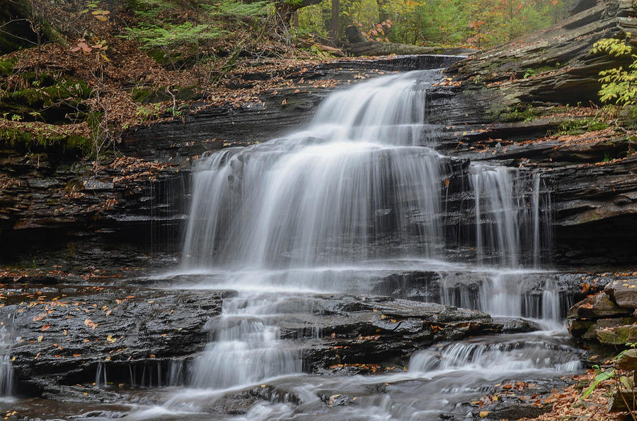Waterfall - Ricketts Glen Photograph by Alan Goldberg