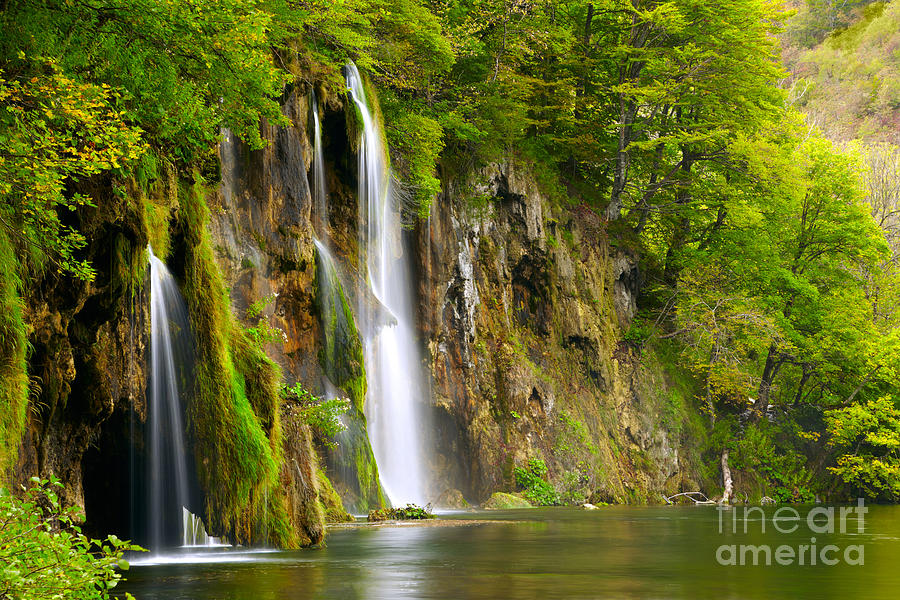 Forest Photograph - Waterfall by Sj Travel Photo And Video Forest Photograph - Waterfall by Sj Travel Photo And Video