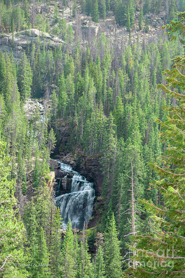 Waterfall View along the Beartooth Highway Photograph by Nancy Lee Moran