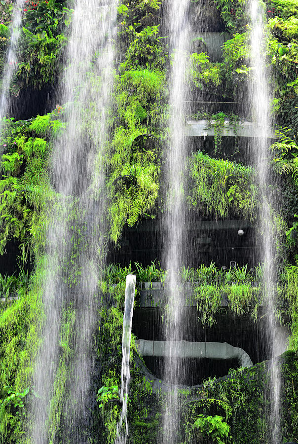 Waterfalls And Tropical Vegetation In The Halls Of Gardens By The Bay, Singapore Photograph by Torsten Rathjen