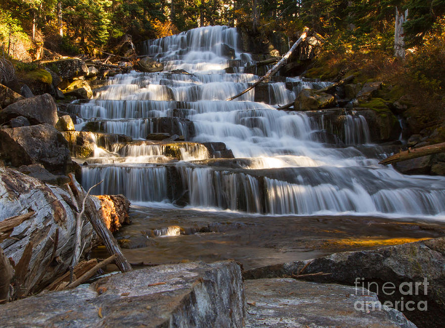 Forest Photograph - Waterfalls Flowing Through The Forest by Fremme Forest Photograph - Waterfalls Flowing Through The Forest by Fremme