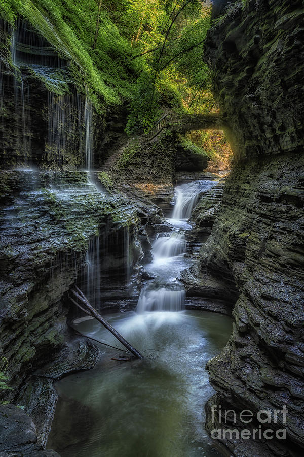New York Photograph - Waterfalls From The Glen by Imma Barrera New York Photograph - Waterfalls From The Glen by Imma Barrera