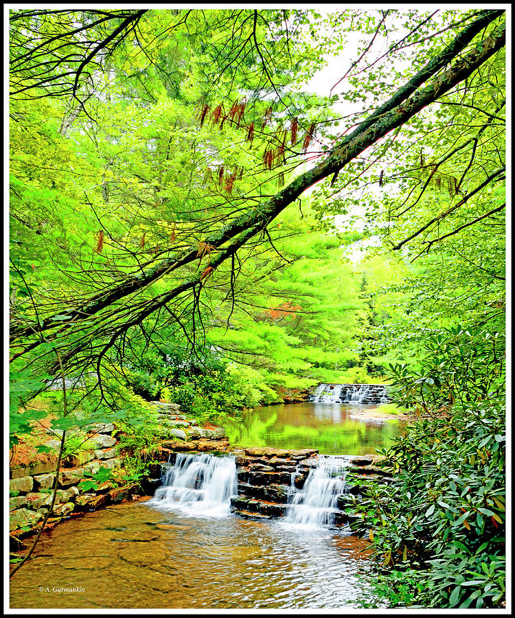 Waterfalls, Hickory Run State Park, Pocono Mountains, Pennsylvan Photograph by A Macarthur Gurmankin