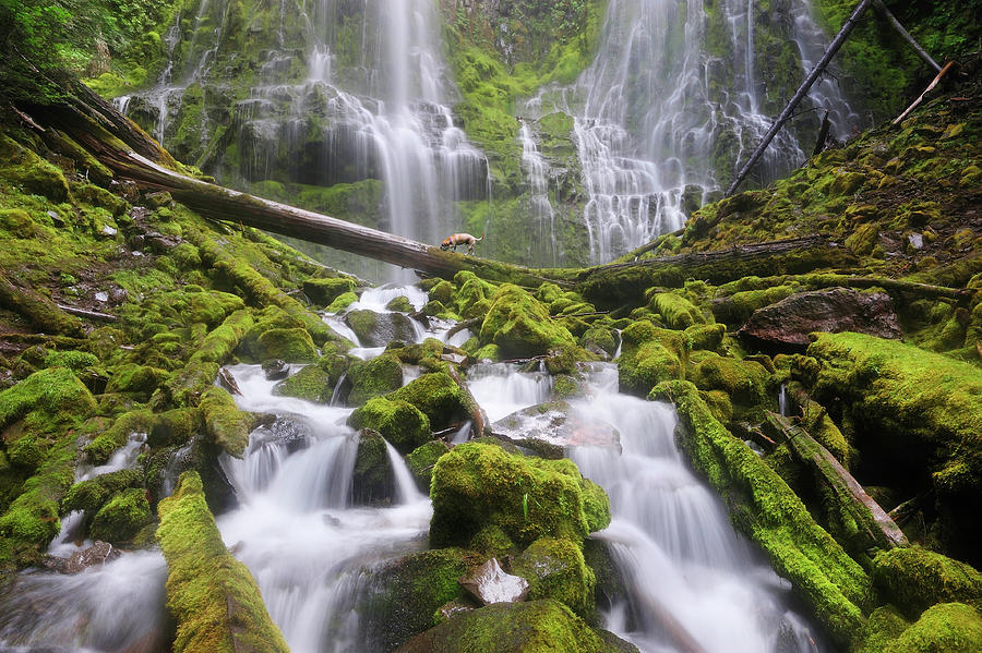 Waterfalls In Forest Digital Art by Heeb Photos - Fine Art America