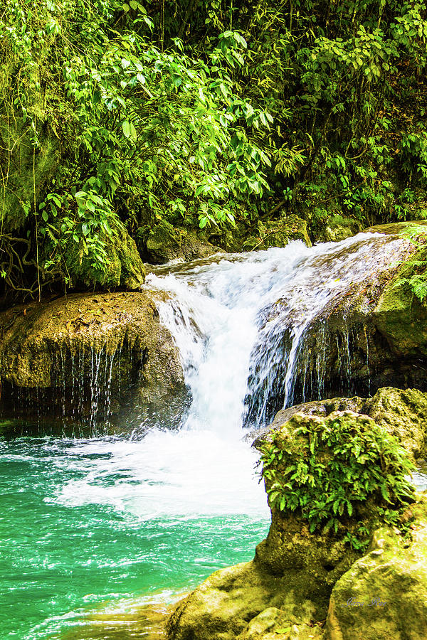 Waterfalls in Jamaica IMG 6074 Photograph by Jana Rosenkranz