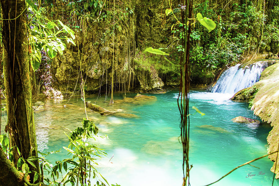 Waterfalls in Jamaica IMG 6075 Photograph by Jana Rosenkranz