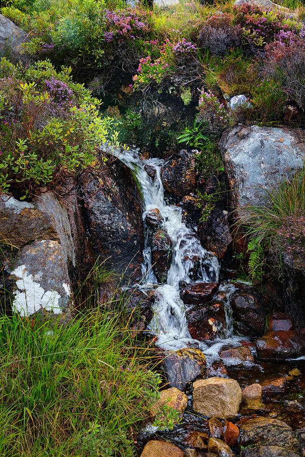 Waterfalls in the Scottish Highlands Photograph by Debra and Dave Vanderlaan