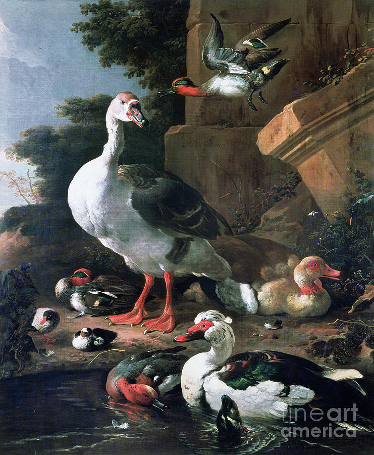 Waterfowl In A Classical Landscape, 17th Century Painting by Melchior De Hondecoeter