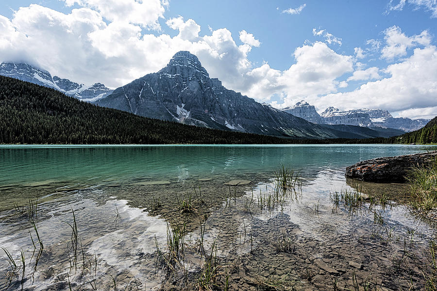 Waterfowl Lake by Johanna Froese Waterfowl Lake by Johanna Froese