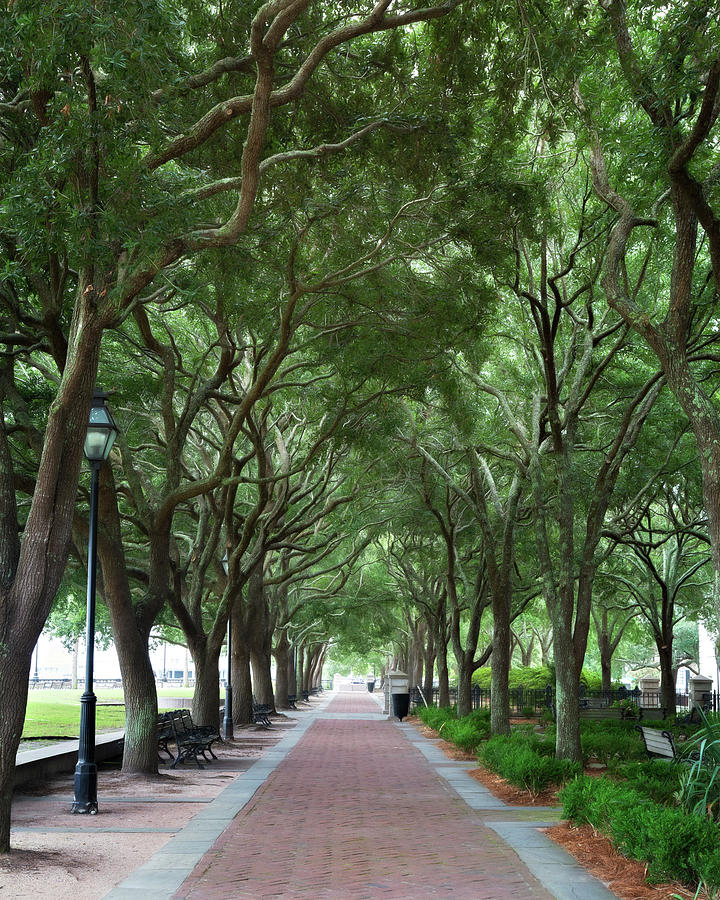 Waterfront Walkway by Lana Trussell Waterfront Walkway by Lana Trussell