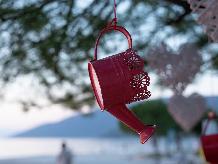 Watering Can Hanging On A Tree Branch Photograph