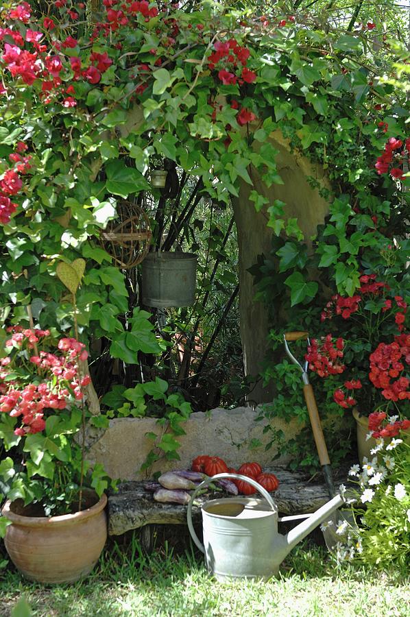 Watering Can In Front Of Vegetables On Bench And Arched Opening In Wall Covered In Red-flowering Plant Photograph by Twins