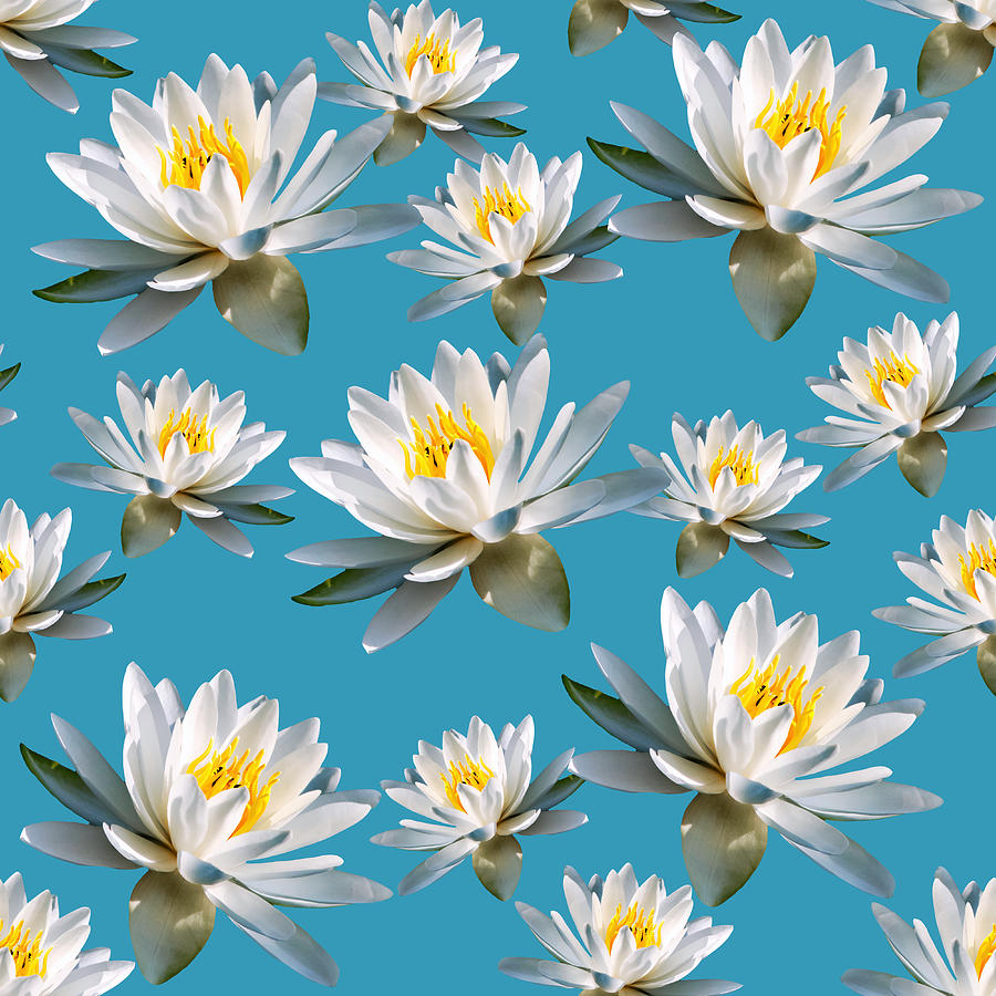 Water Lily Pattern Mixed Media by Christina Rollo