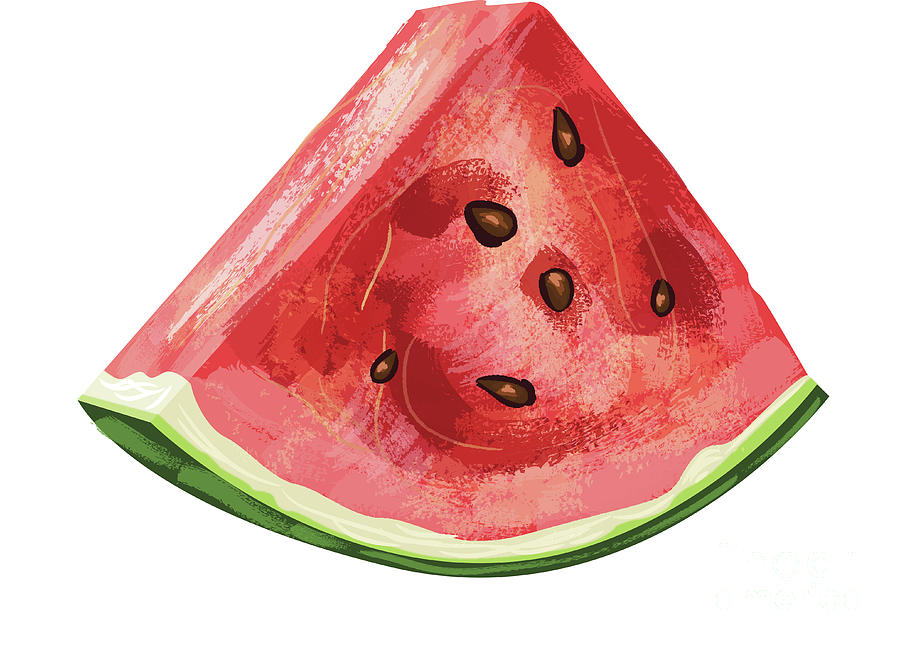 Watermelon Fruit Digital Art by Veenamari