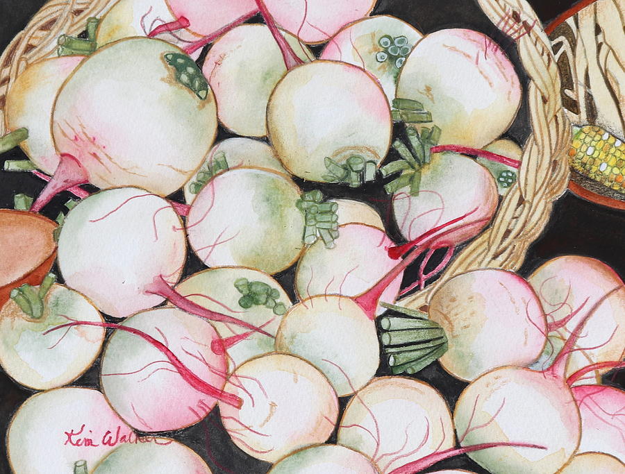 Watermelon Radishes and a Teeny Ear of Corn Painting by Kimberly Walker