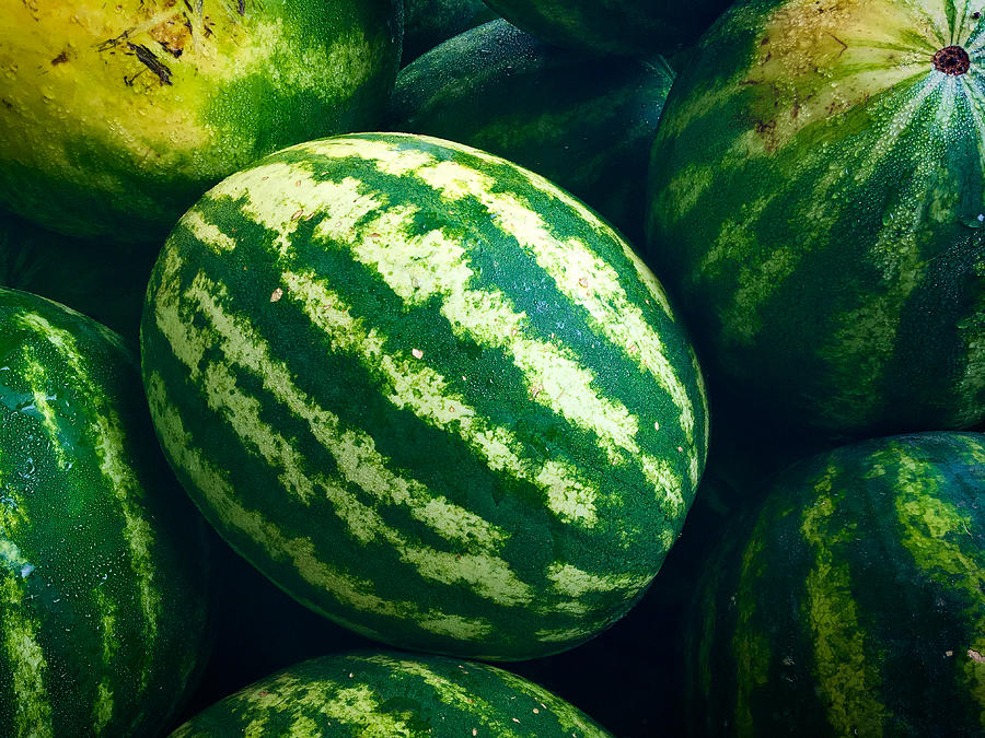 Watermelons by Nathan Little Watermelons by Nathan Little