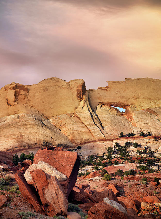 Capitol Reef National Park Photograph - Waterpocket Fold by Leland D Howard