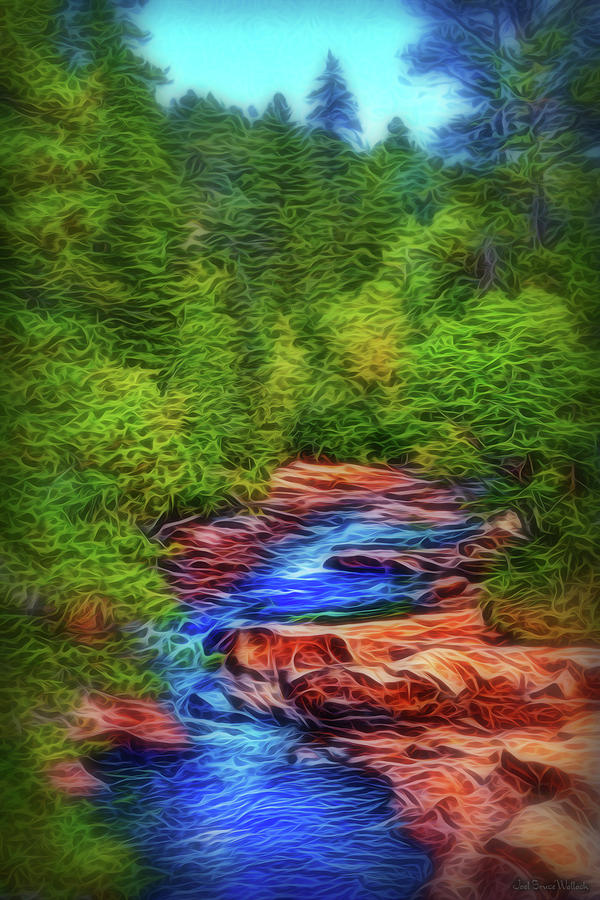 Waters Of The Woods Digital Art by Joel Bruce Wallach