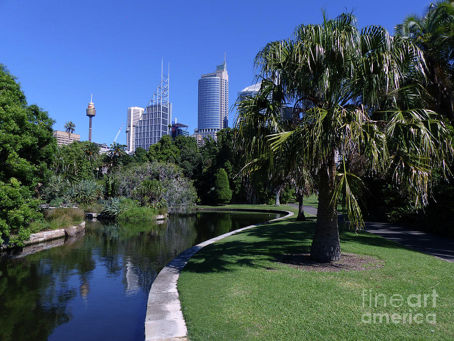 Waterside - Royal Botanical Gardens - Sydney by Phil Banks Waterside - Royal Botanical Gardens - Sydney by Phil Banks