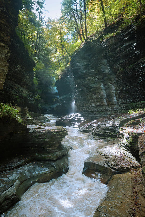 Watkins Glen Photograph by David Lamb - Pixels