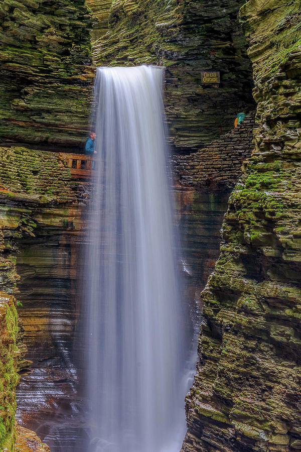 waterfall glen waterfall glen