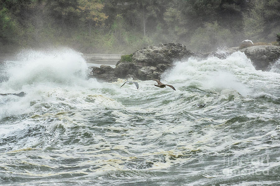 Wave Cresting by Ruth H Curtis Wave Cresting by Ruth H Curtis