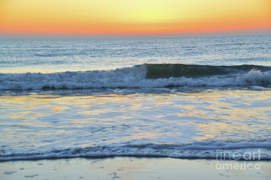 Wave Of Gratitude Nature Art 2 Photograph by Robyn King