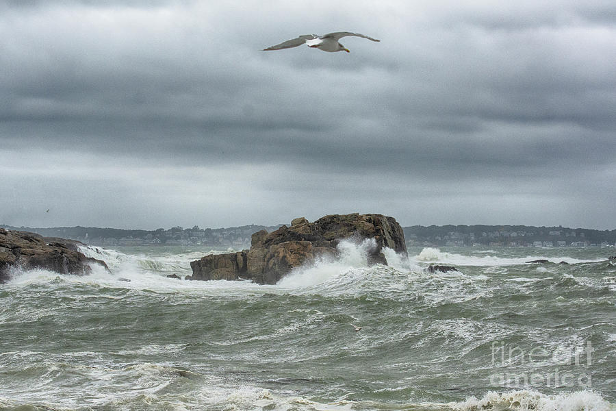 Wave Search by Ruth H Curtis Wave Search by Ruth H Curtis